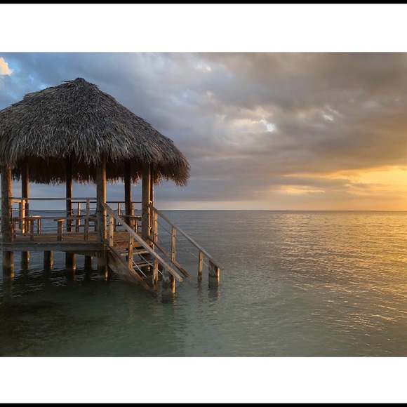 Meet your Posher, Jordan - Picture 1 of 1